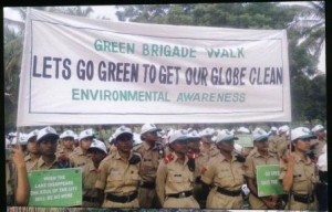 tree plantation